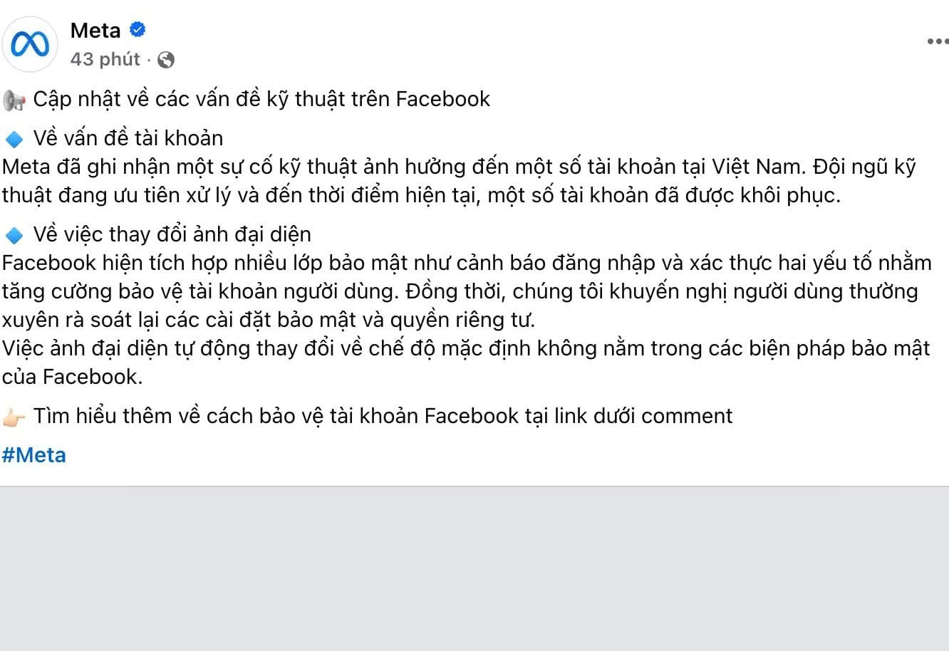 Phản hồi của Meta