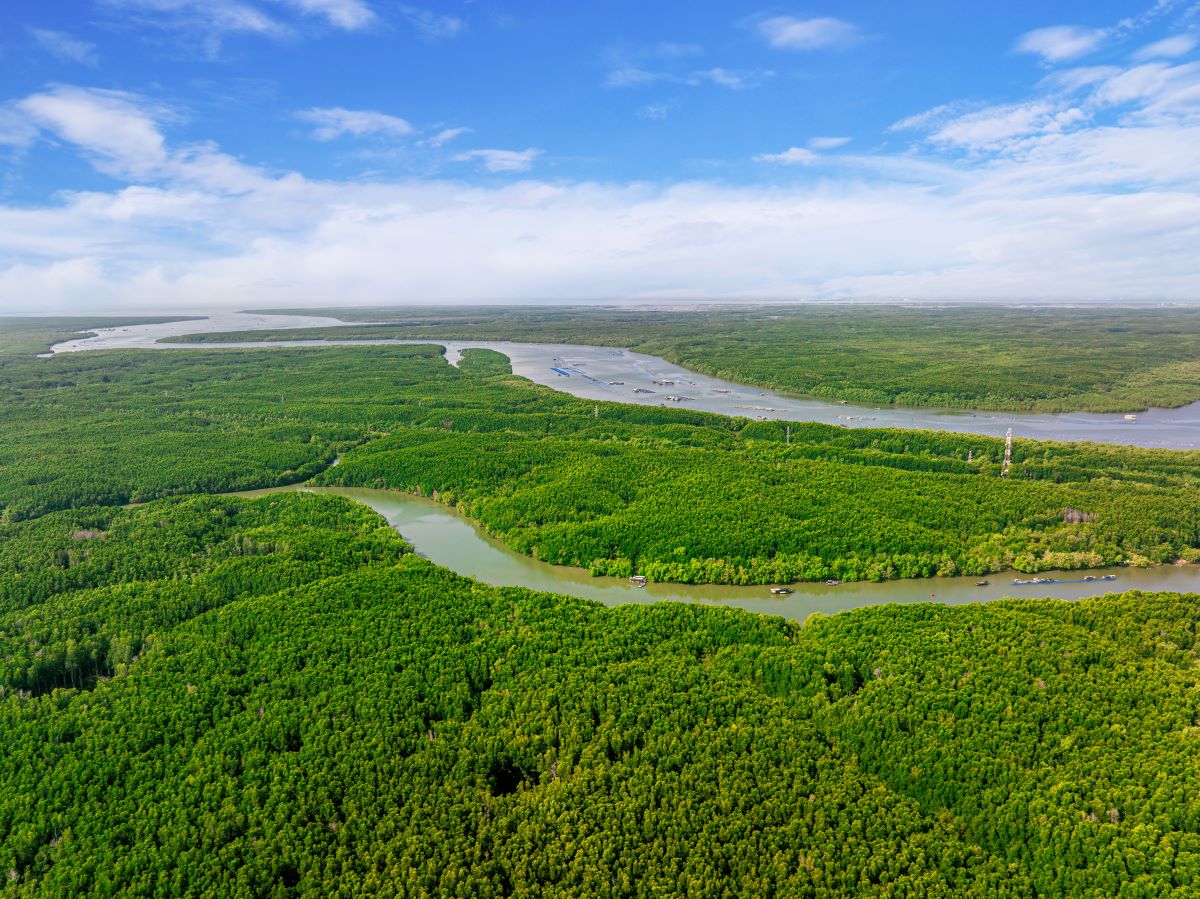 Sở hữu hệ sinh thái xanh “triệu năm tuổi” hiếm có, Cần Giờ giàu tiềm năng phát triển du lịch sinh thái bền vững