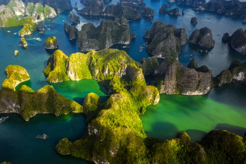 Nhiều hoạt động về đêm đặc sắc đón chờ du khách tại Cát Bà