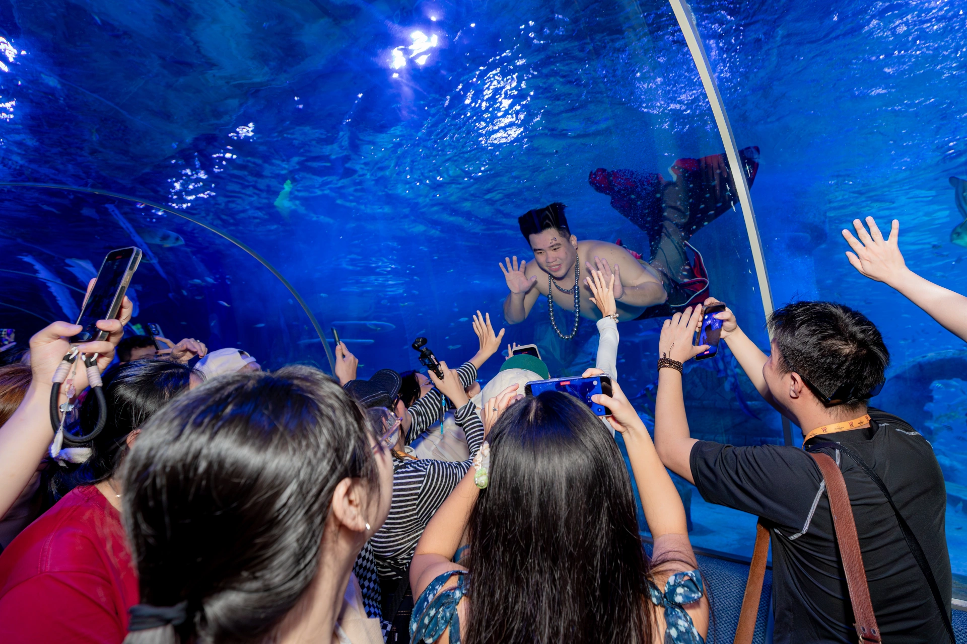 Chàng “tiên cá béo”mang đến trải nghiệm tương tác thú vị cho du khách