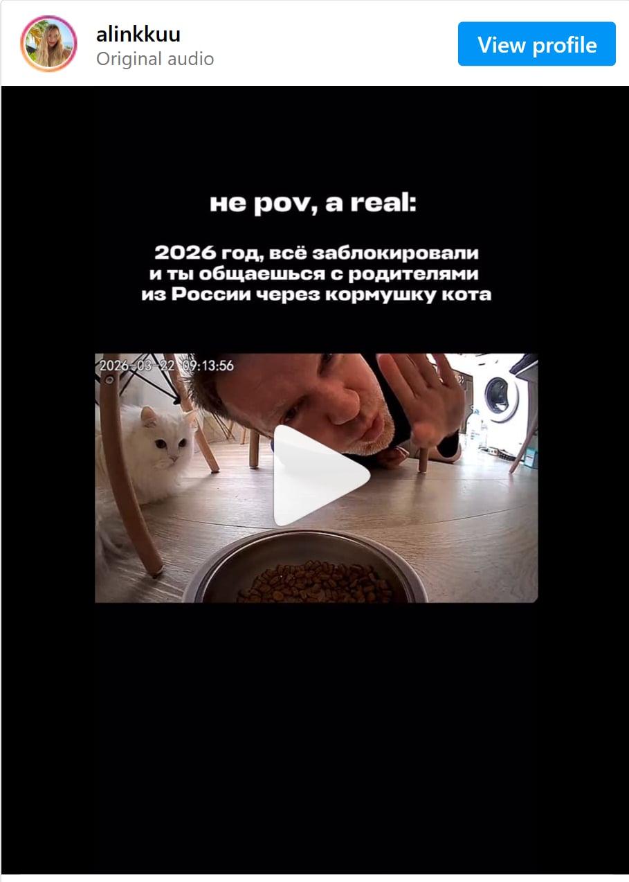 Video trên Instagram của một phụ nữ gọi điện cho bố mẹ ở Nga từ Bali qua máy cho mèo thông minh (nguồn: Instagram)