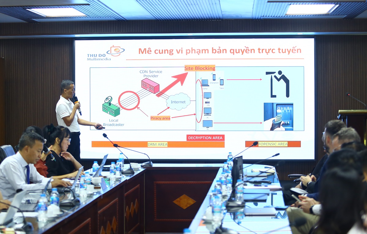 Vi phạm bản quyền số: Việt Nam đứng top đầu châu Á - Thái Bình Dương