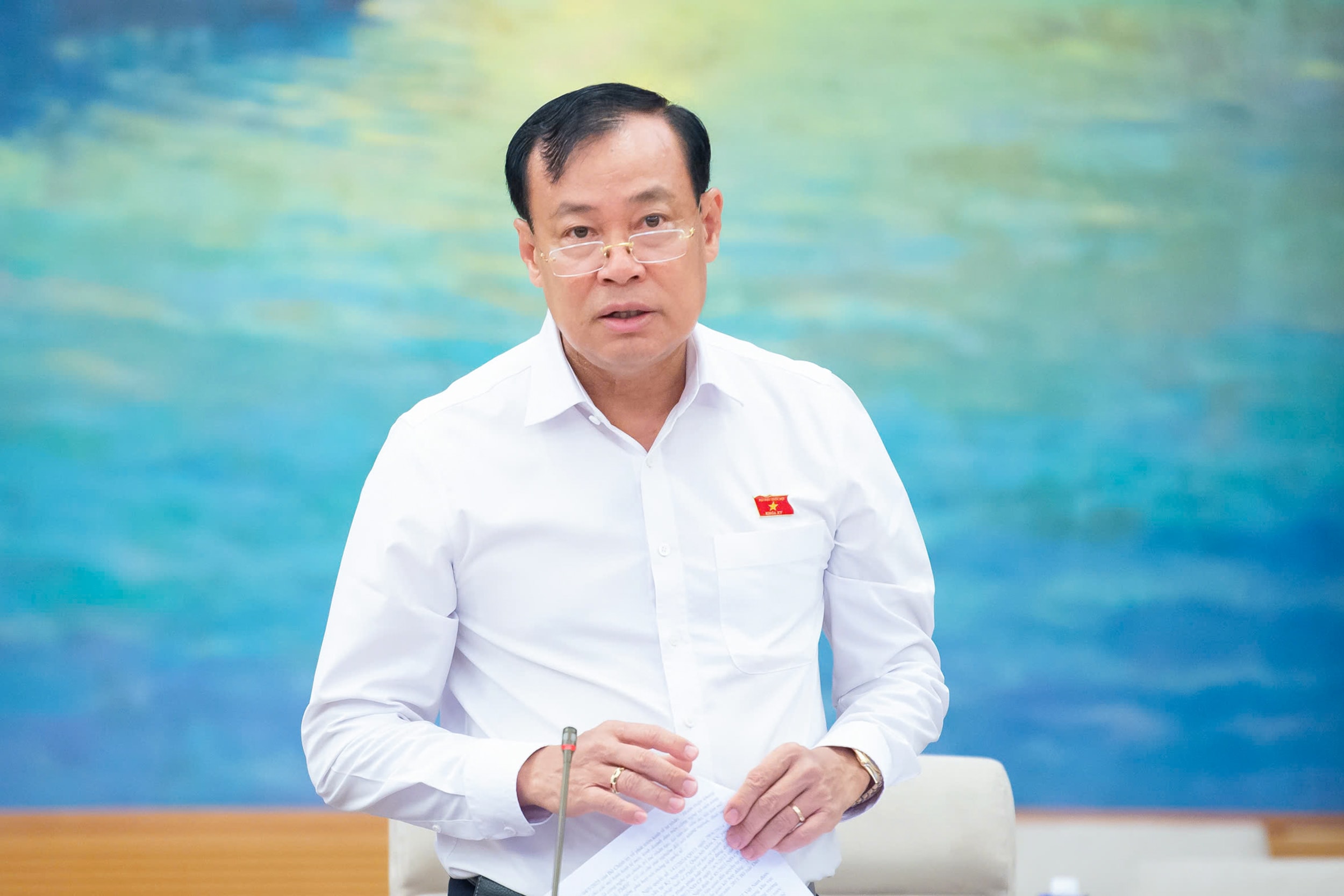 Chủ nhiệm Ủy ban Quốc phòng, An ninh và Đối ngoại Lê Tấn Tới trình bày Báo cáo thẩm tra.