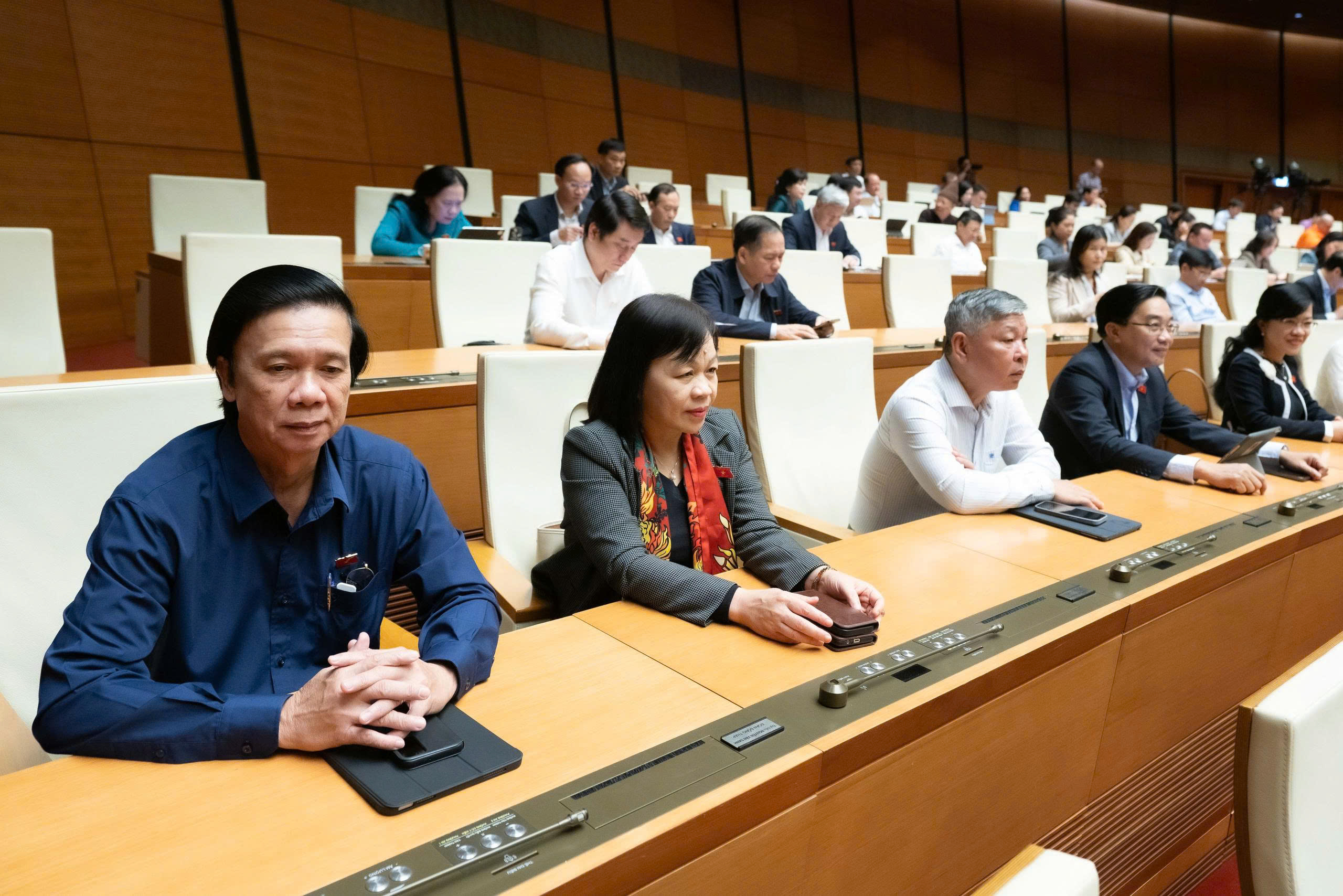 Các đại biểu tham dự Phiên họp