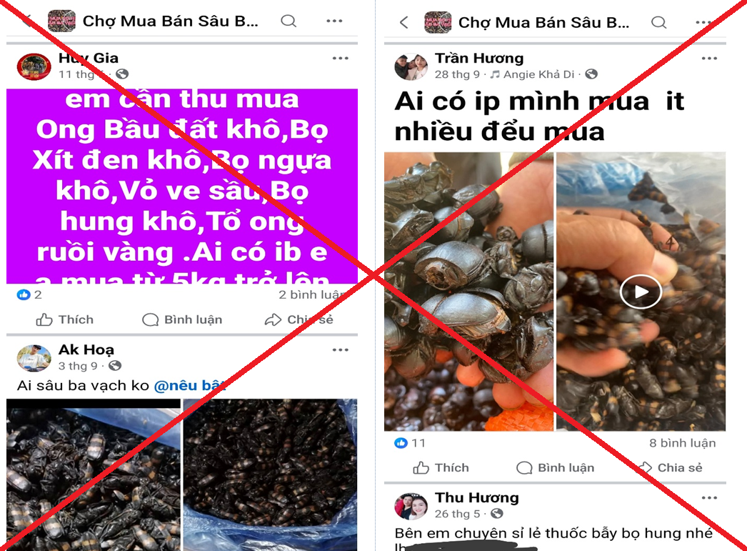 Ảnh một số bài viết thu mua côn trùng khô trên mạng xã hội facebook