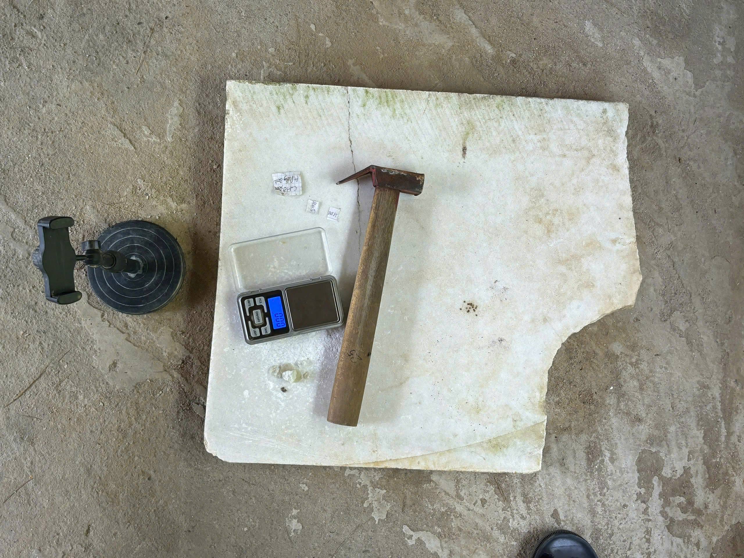 Các đối tượng và vật chứng của vụ án.