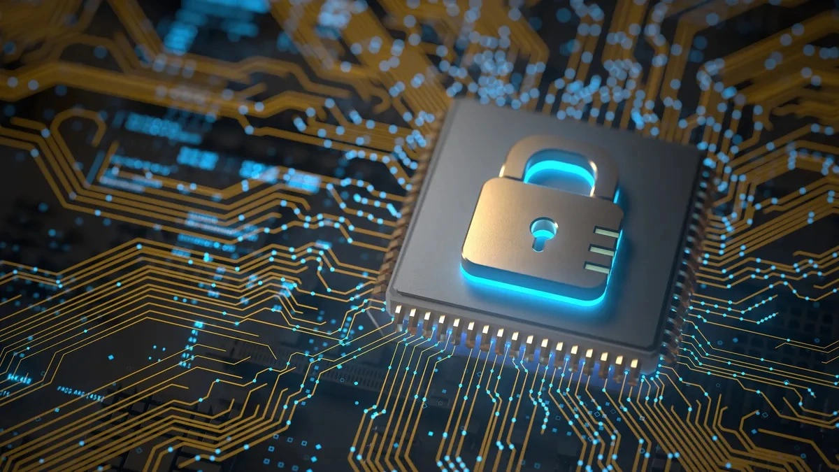 Ảnh minh họa. K12 Dive