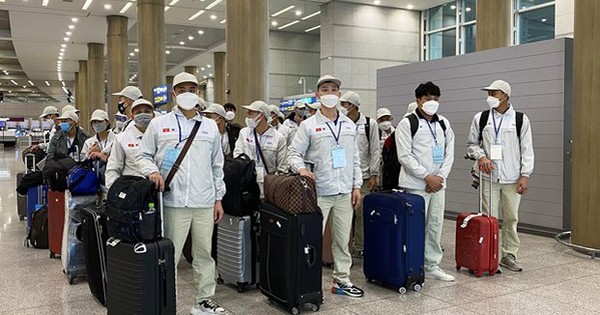 Gia tăng chiêu lừa “du học, lao động, kết hôn nước ngoài” để chiếm đoạt tài sản