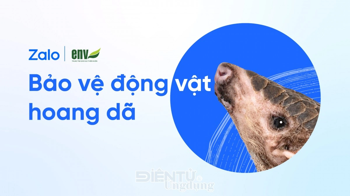 Ảnh minh họa. Điện tử Ứng dụng