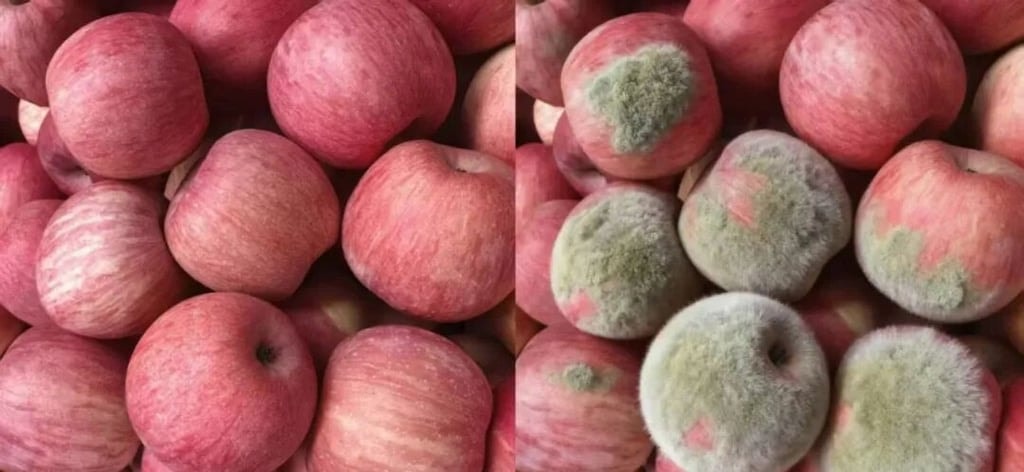 Người mua dùng AI tạo ảnh táo mốc để yêu cầu người bán hoàn tiền.